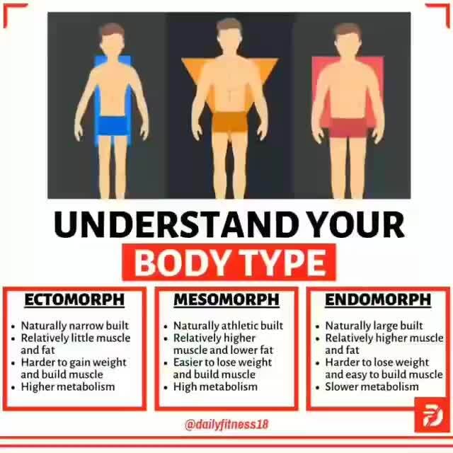 Difference of 3 Body Types: Endomorph, Ectomorph, and Mesomorph, and H ...
