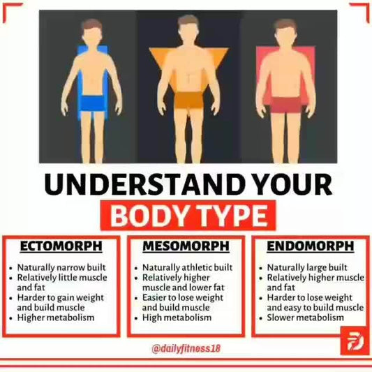 Difference of 3 Body Types: Endomorph, Ectomorph, and Mesomorph, and How They Affect Weight Loss