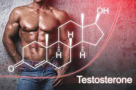Unlocking the Potential: Chrysin and Testosterone Supplements