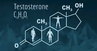 "Unlocking Testofen: The Key to Optimal Testosterone Levels"
